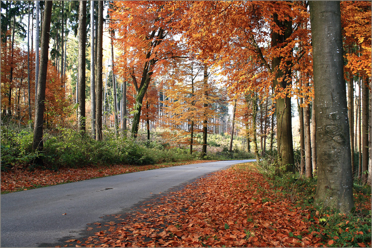 Herbstleuchten