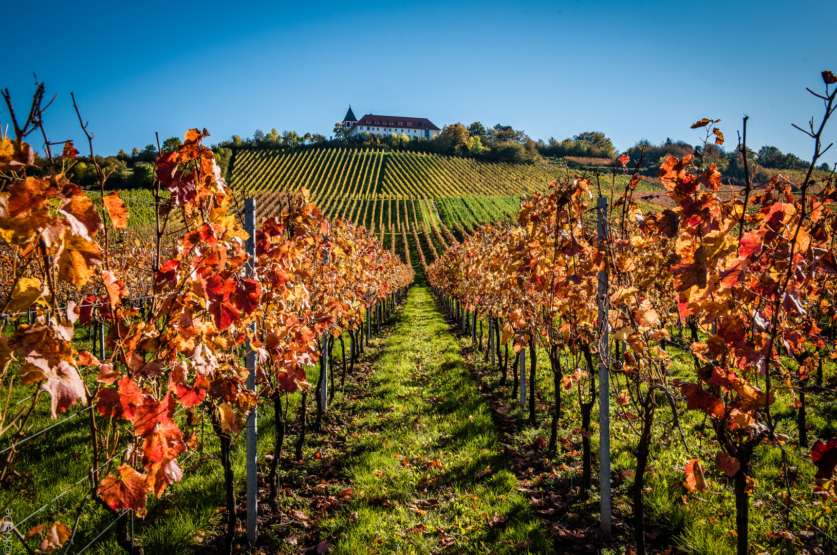 Herbstleuchten