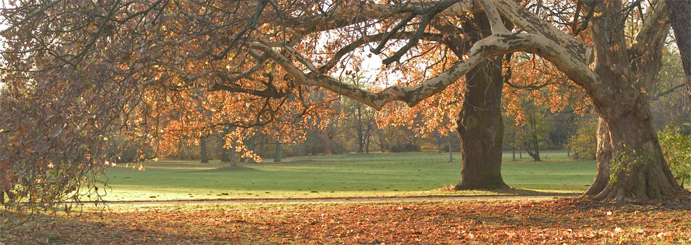 Herbstleuchten