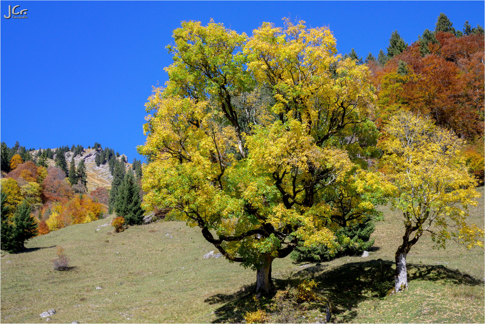 Herbstleuchten