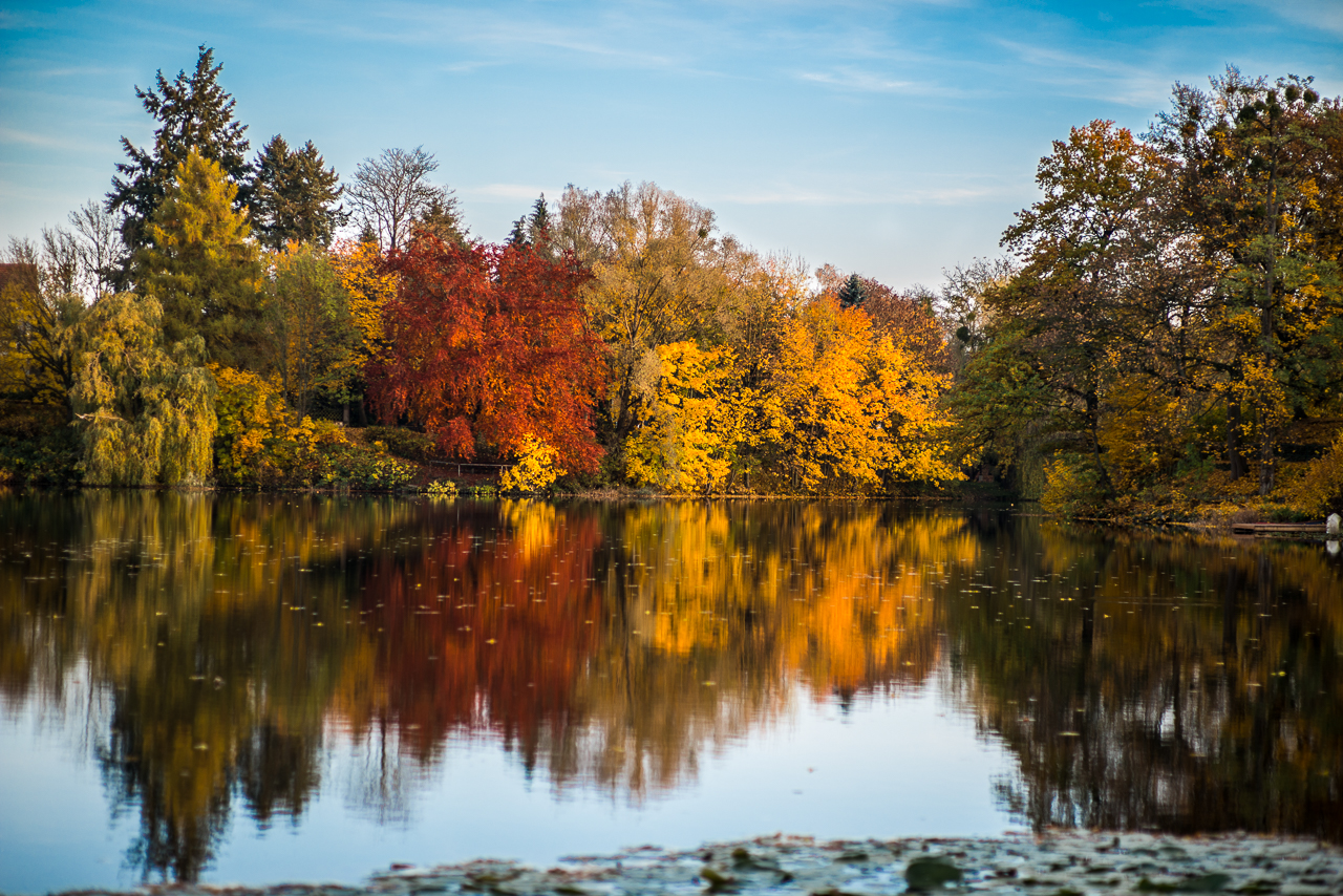 Herbstleuchten