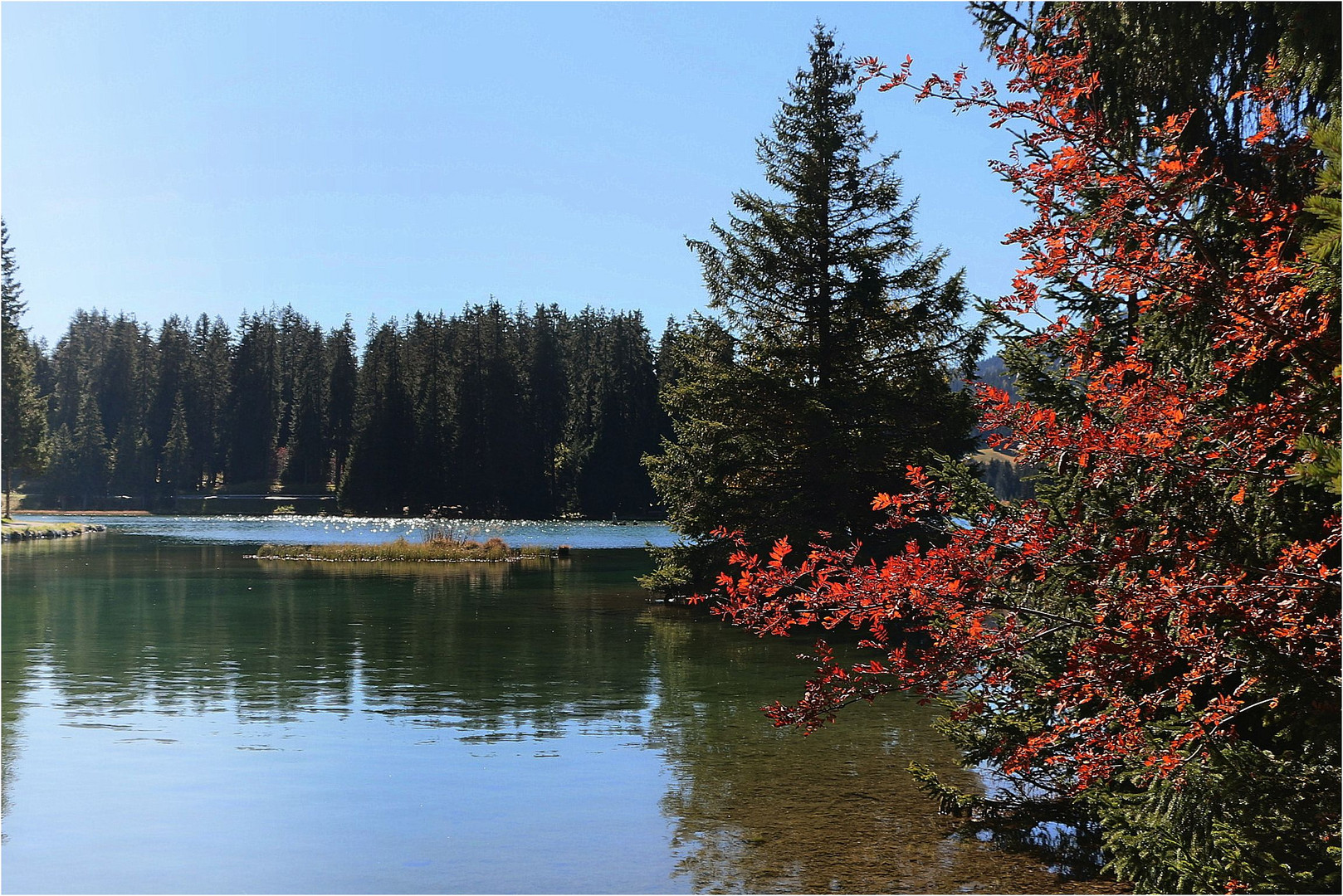 Herbstleuchten....