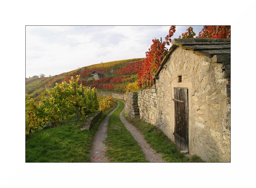 +++ herbstleuchten +++