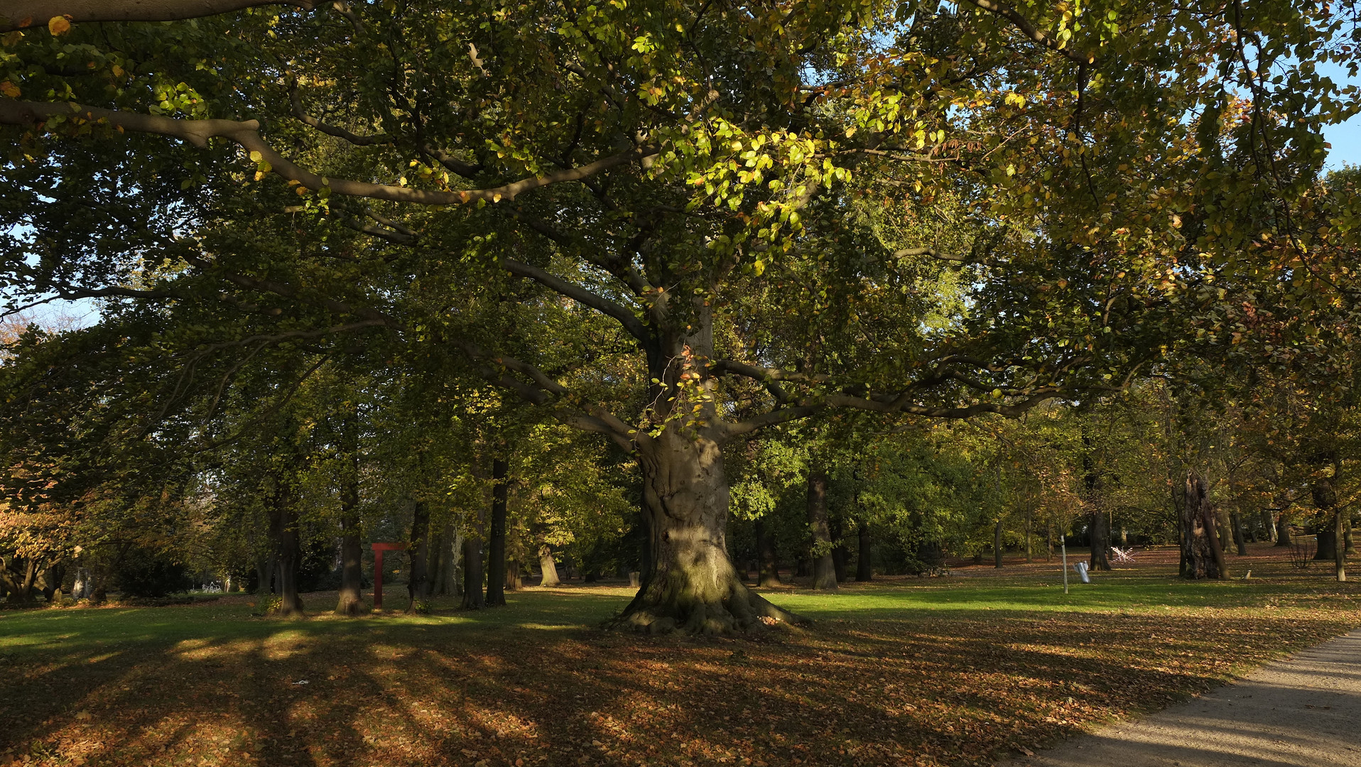 Herbstleuchten