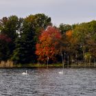 Herbstleuchten