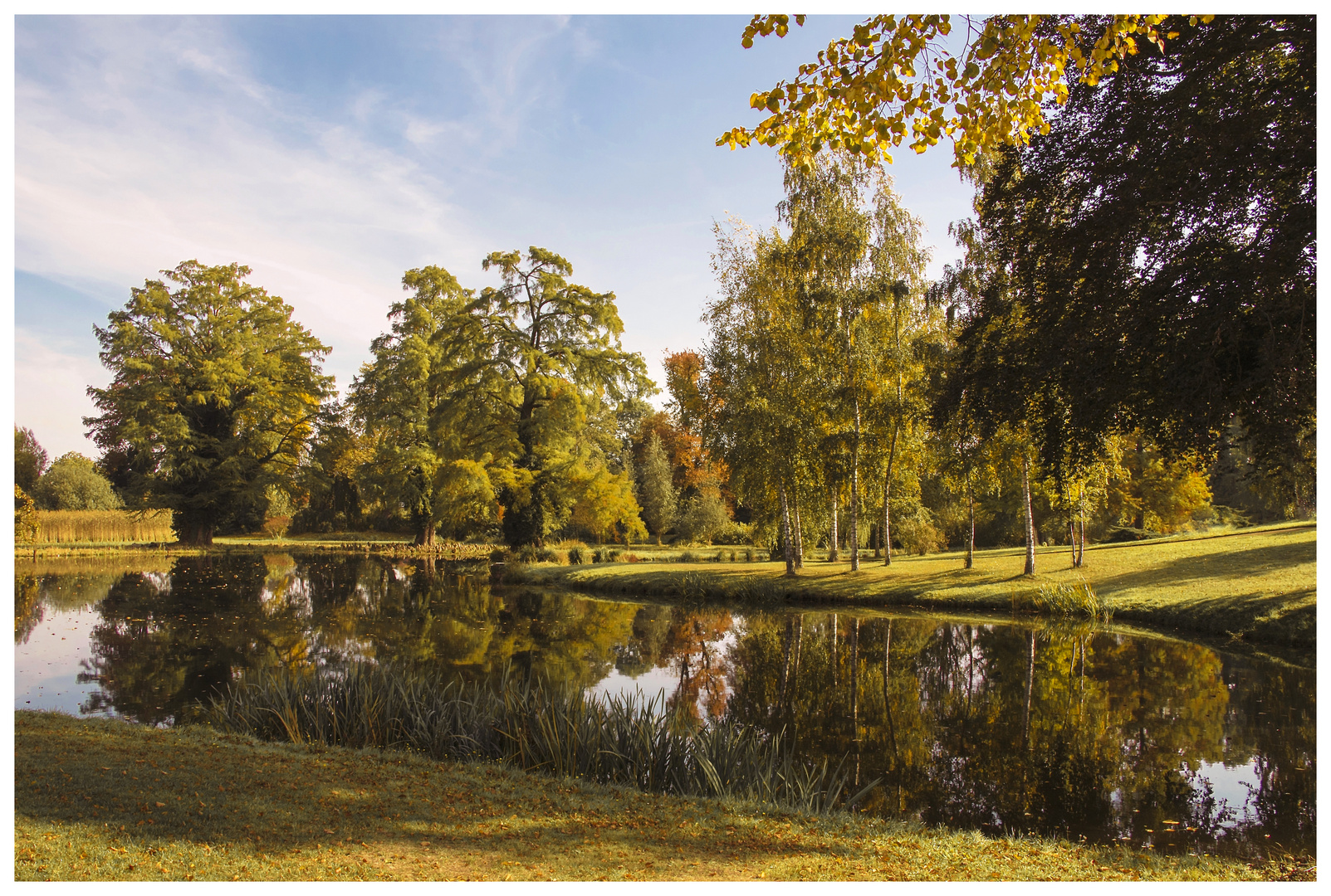 Herbstleuchten