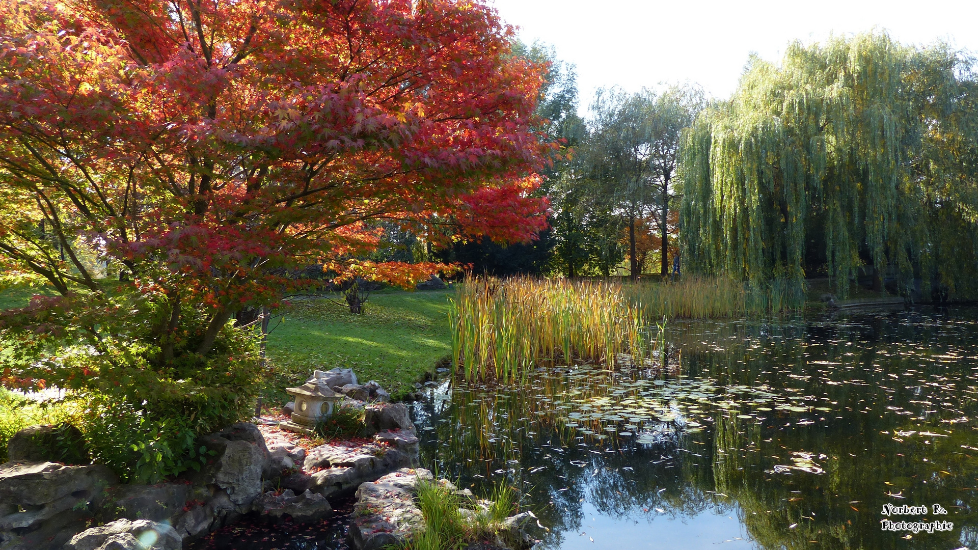 Herbstleuchten