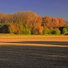 Herbstleuchten