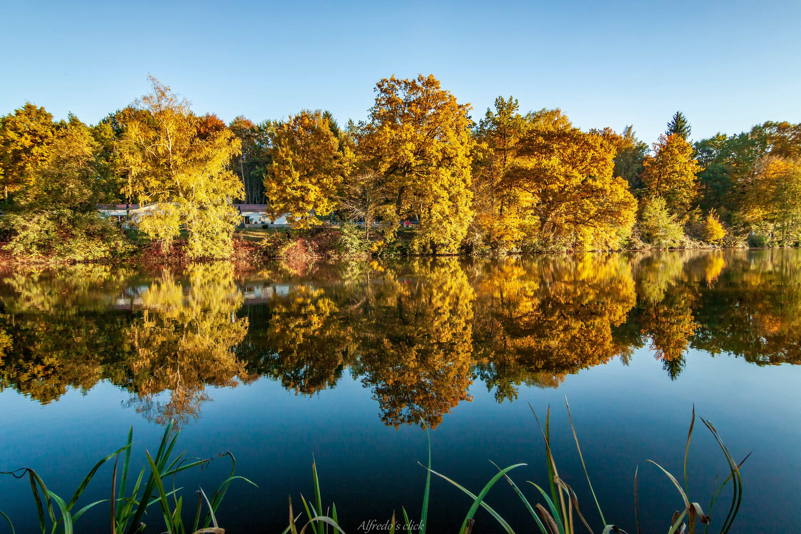 Herbstleuchten