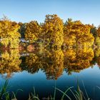 Herbstleuchten