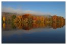 Herbstleuchten von Andreas Ha. 