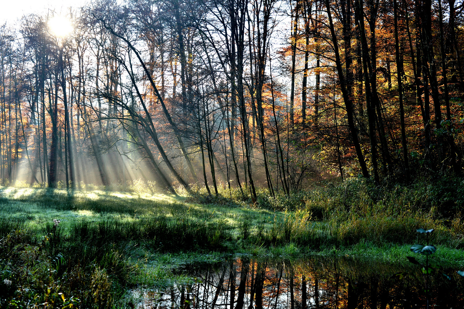 Herbstleuchten