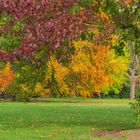 Herbstleuchten