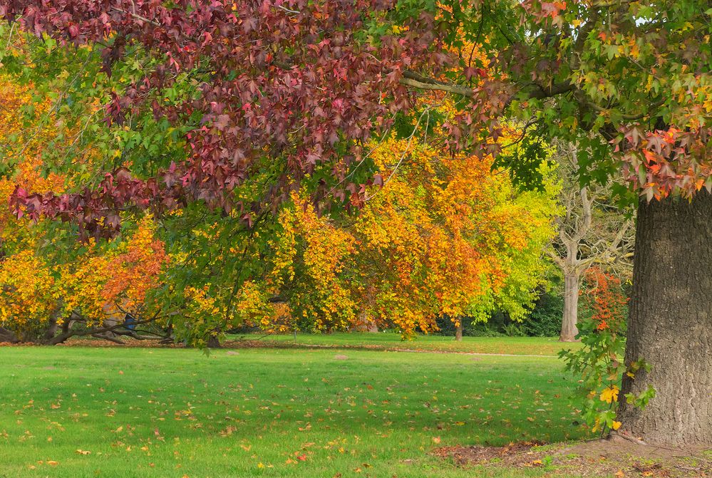 Herbstleuchten