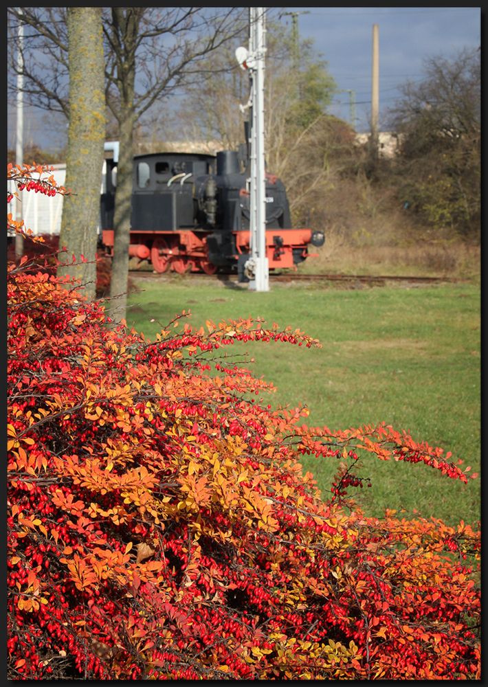 ...HerbstLeuchten...