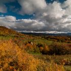 Herbstleuchten