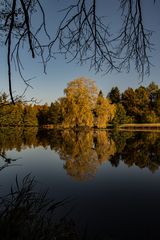 Herbstleuchten