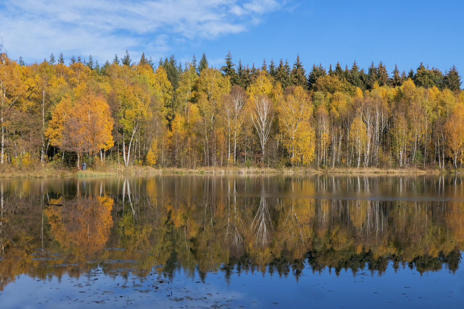 Herbstleuchten