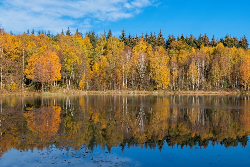 Herbstleuchten