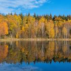 Herbstleuchten