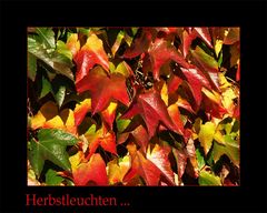 Herbstleuchten....