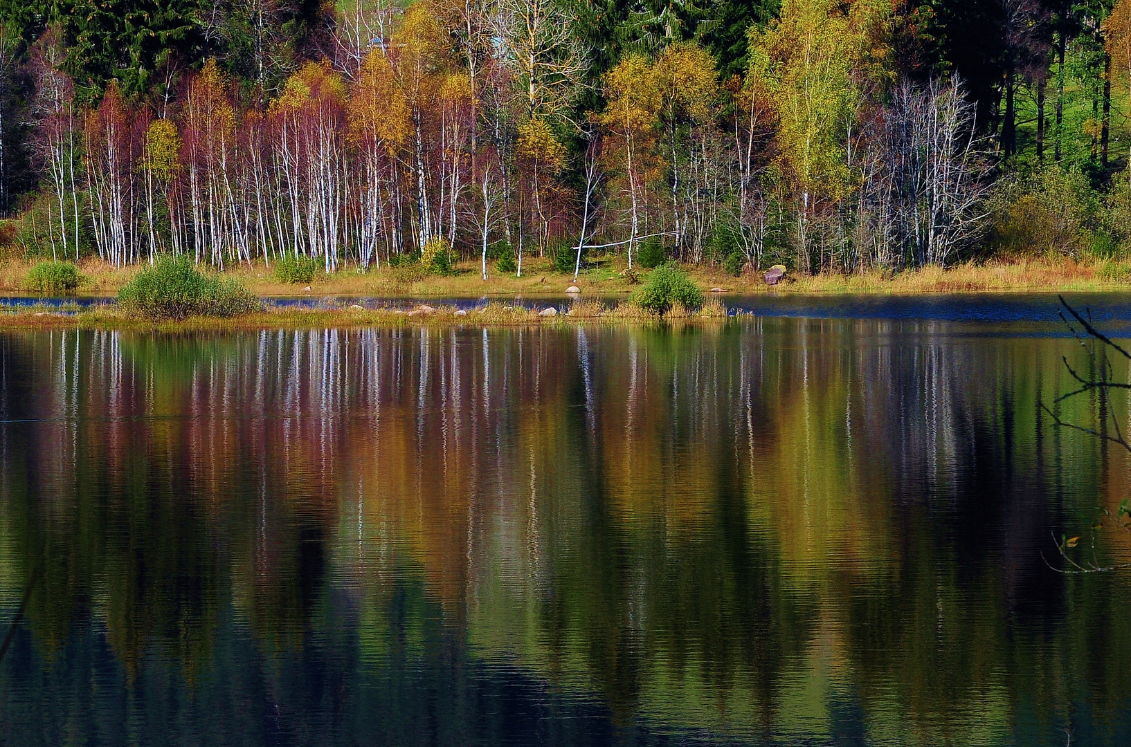 Herbstleuchten