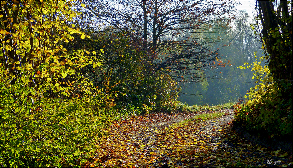 Herbstleuchten