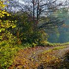 Herbstleuchten