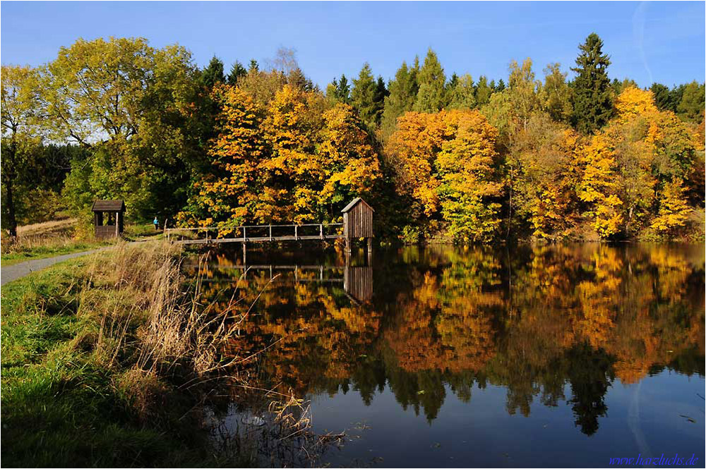 Herbstleuchten ...