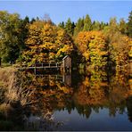 Herbstleuchten ...