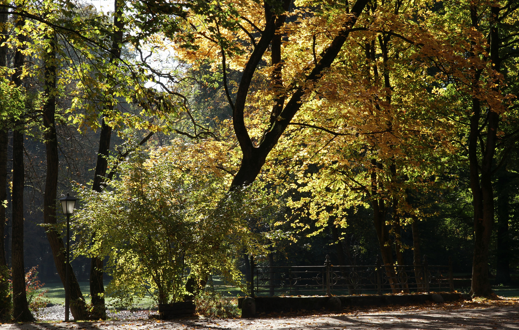 Herbstleuchten