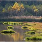 Herbstleuchten