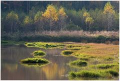 Herbstleuchten