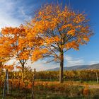 Herbstleuchten