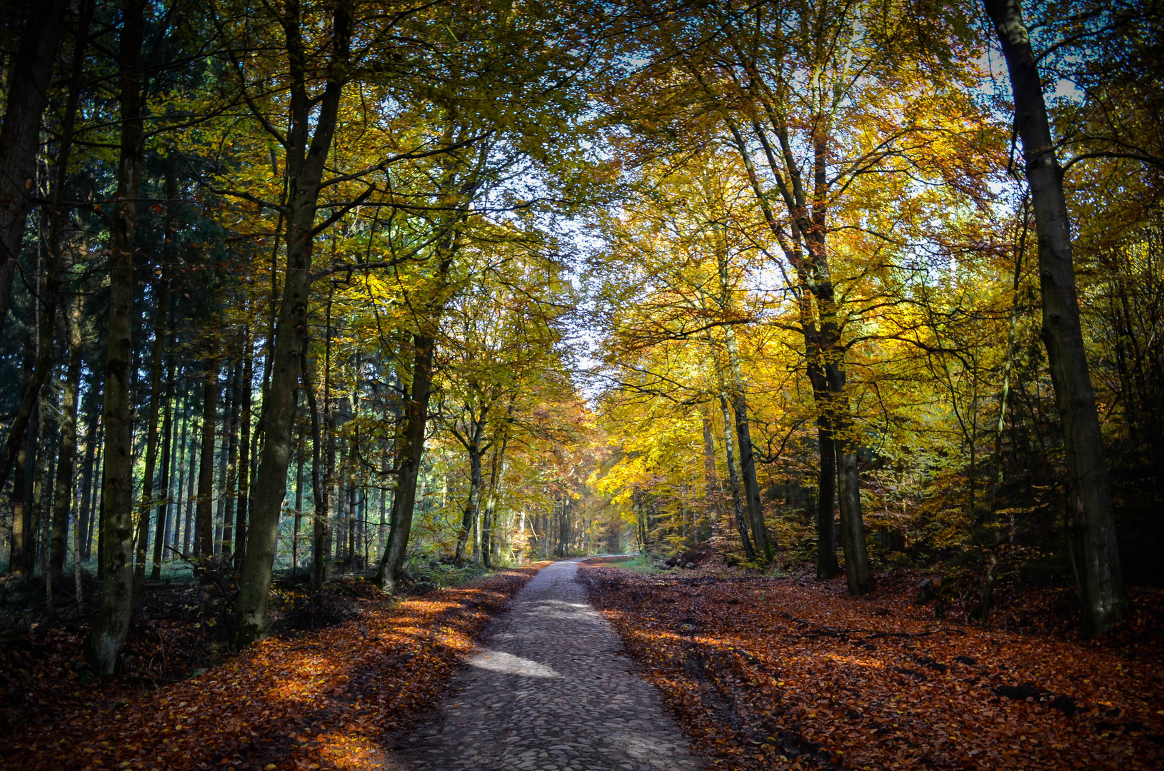 Herbstleuchten