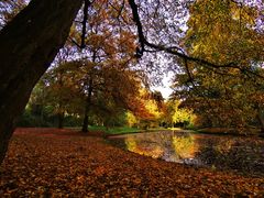 Herbstleuchten