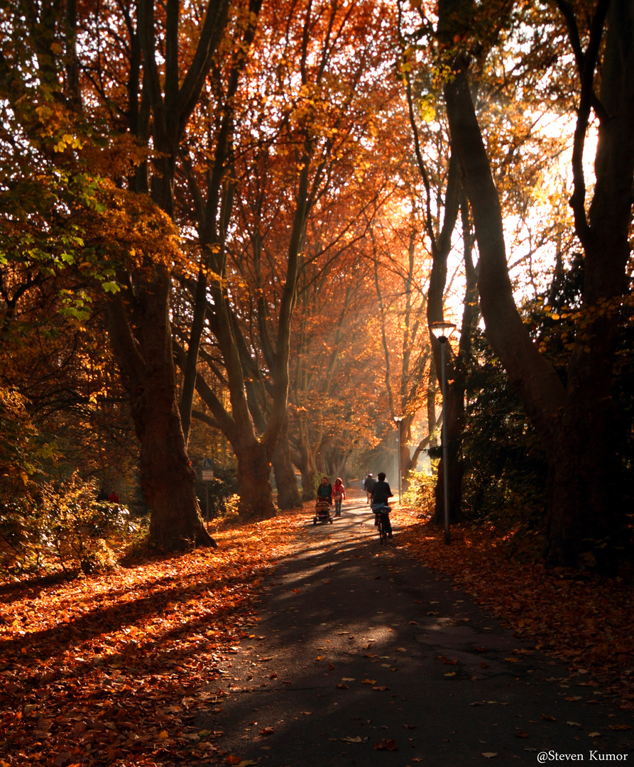 Herbstleuchten