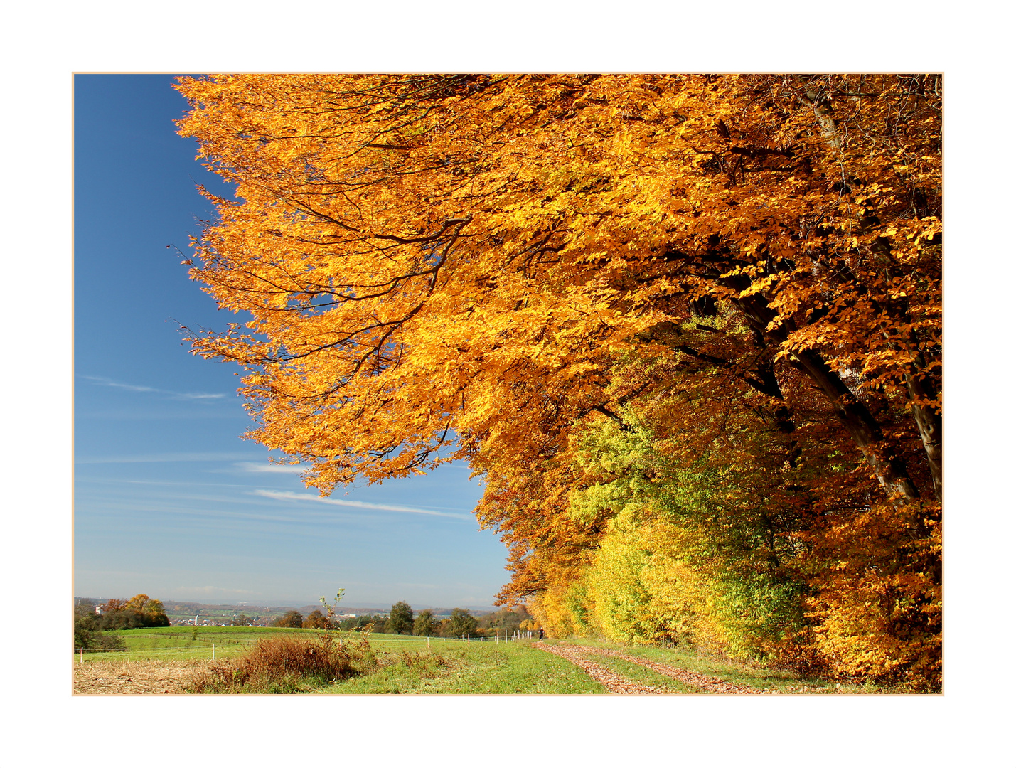 Herbstleuchten.