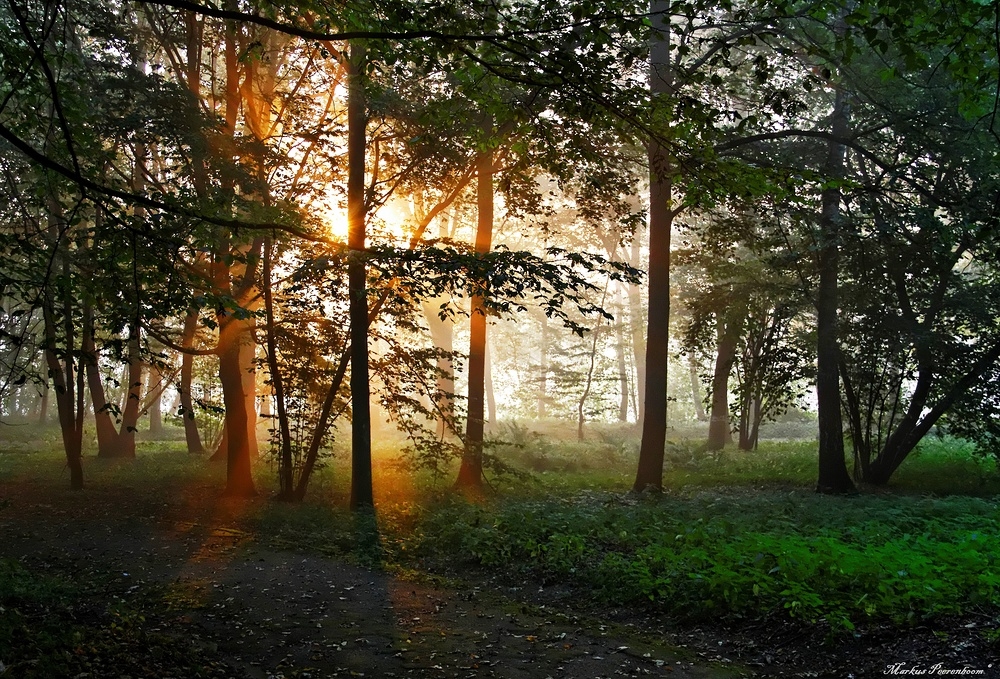 Herbstleuchten