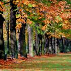 Herbstleuchten  ...