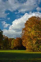 Herbstleuchten