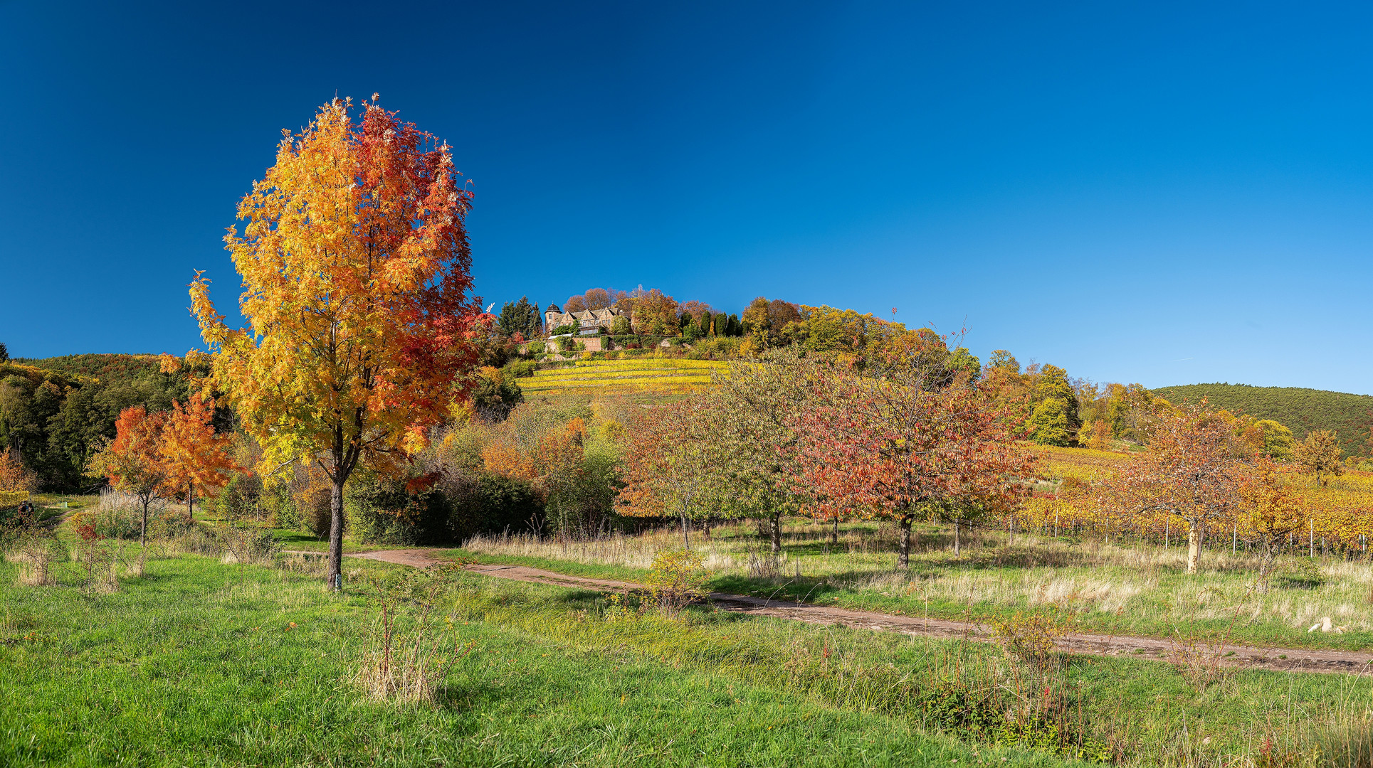 Herbstleuchten