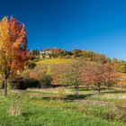 Herbstleuchten