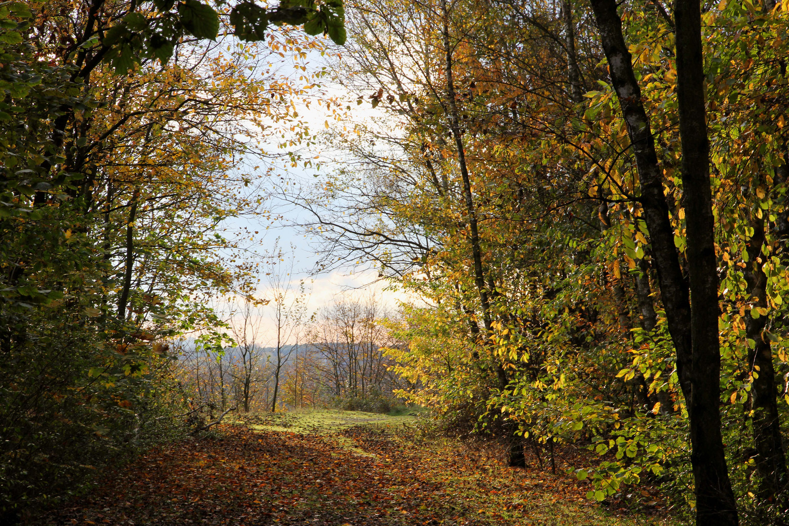 Herbstleuchten Fortsetzung