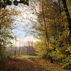 Herbstleuchten Fortsetzung