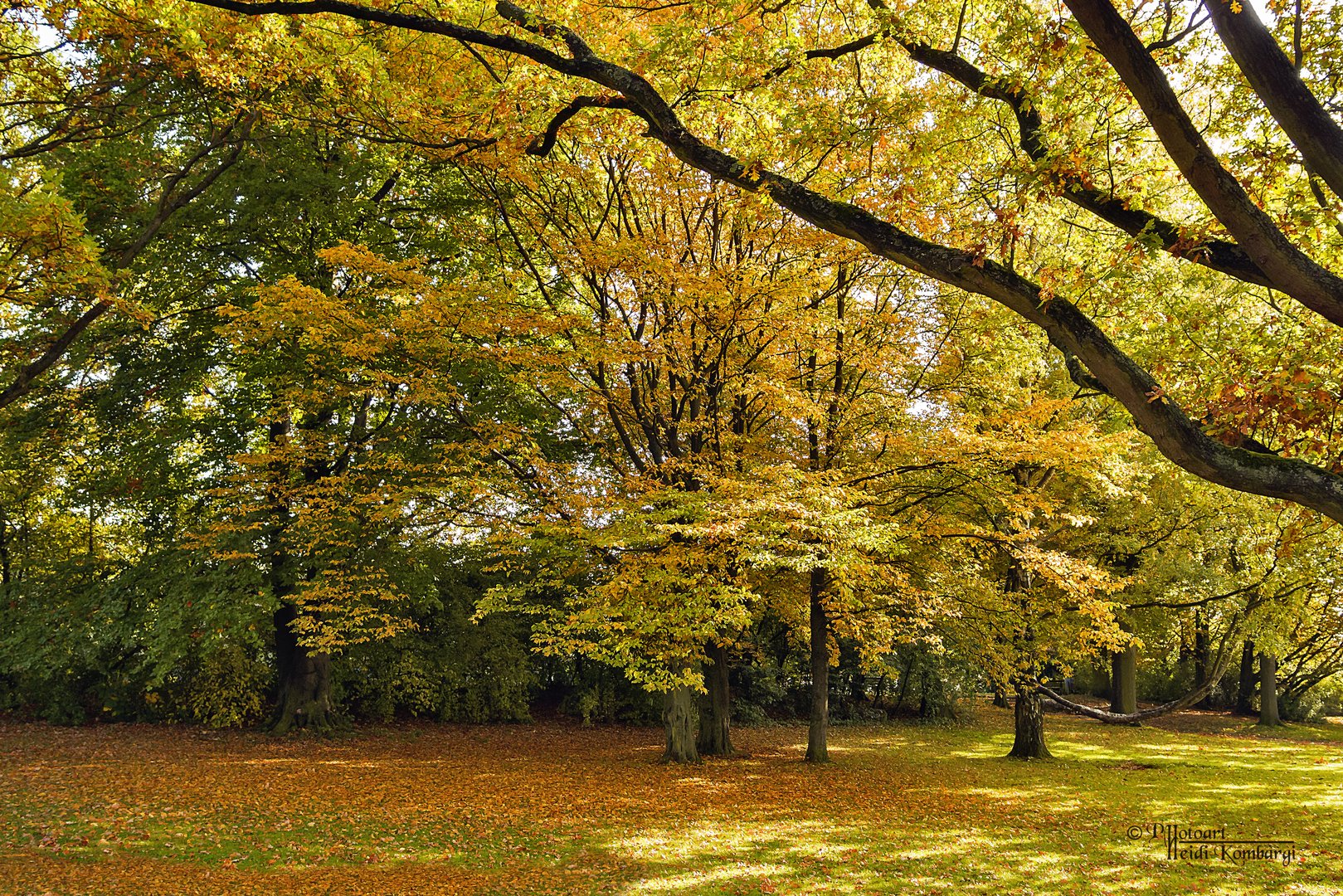 HERBSTLEUCHTEN II