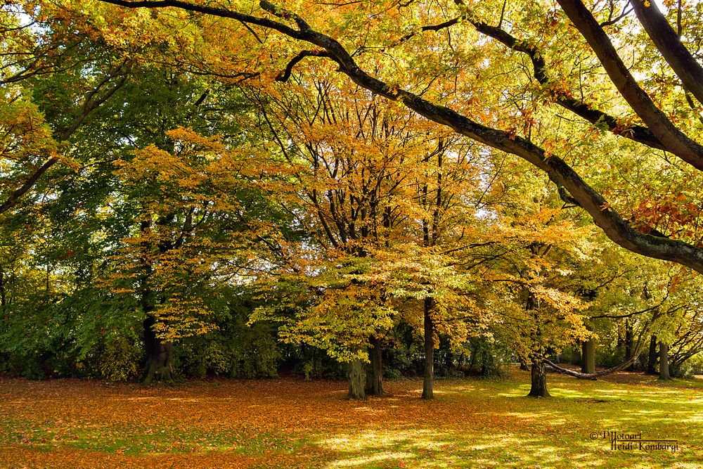 HERBSTLEUCHTEN II