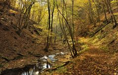 *Herbstleuchten II*