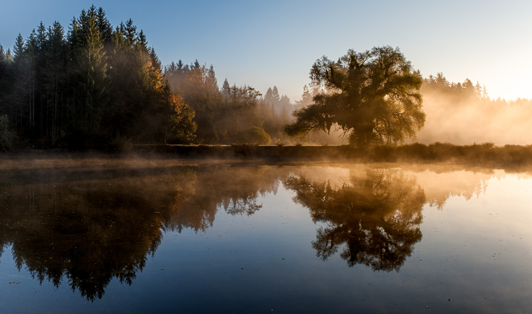 Herbstleuchten II