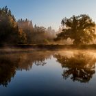 Herbstleuchten II